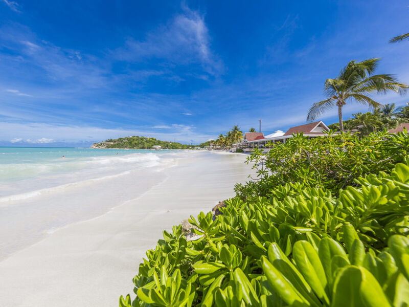 Pineapple Beach Club (Adults Only)