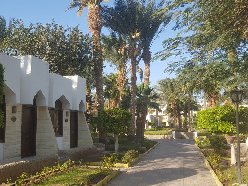 Plakias Cretan Resorts By Alegria