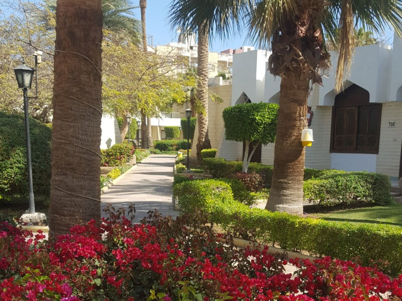 Plakias Cretan Resorts By Alegria
