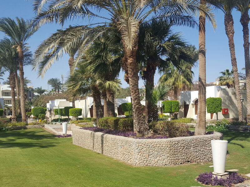 Plakias Cretan Resorts By Alegria
