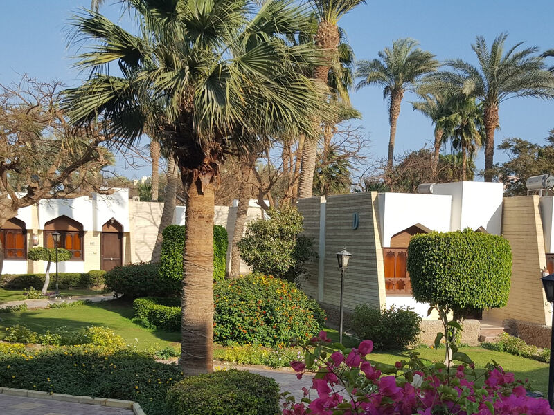 Plakias Cretan Resorts By Alegria