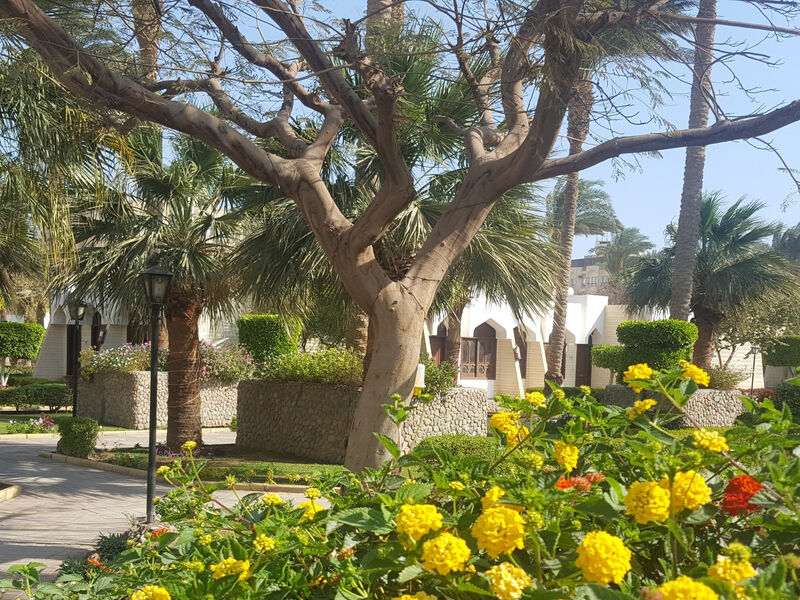Plakias Cretan Resorts By Alegria