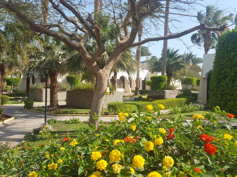 Plakias Cretan Resorts By Alegria
