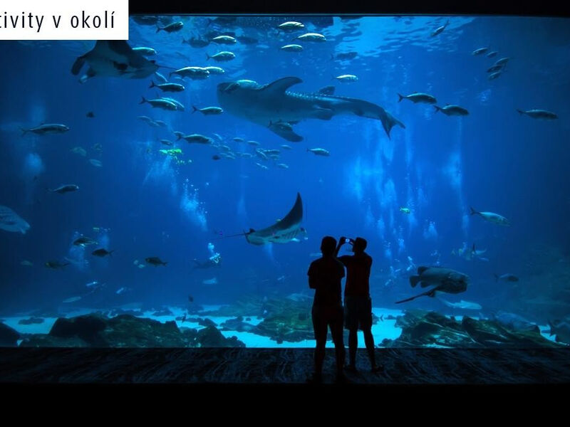 Playa Esperanza Resort Affiliated By Meliá