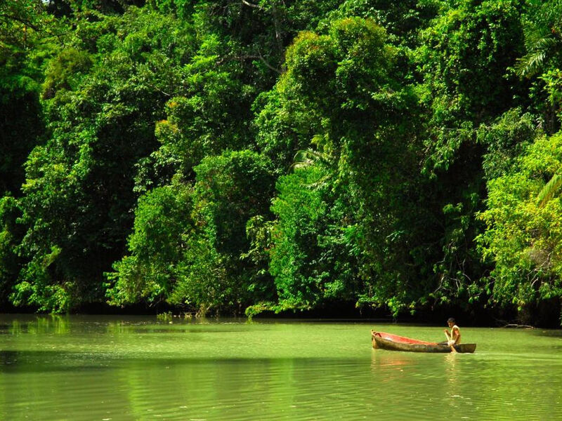 Playa Nicuesa Rainforest Lodge