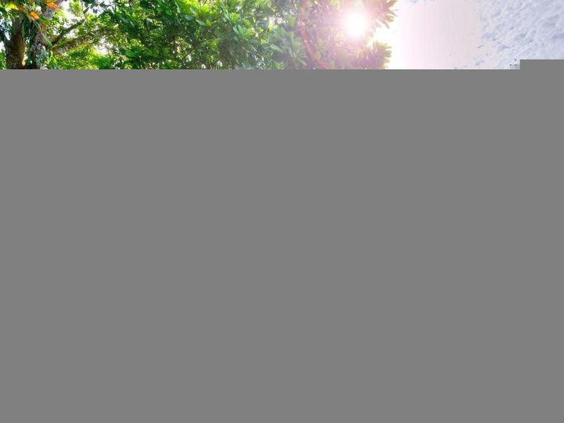 Playa Nicuesa Rainforest Lodge