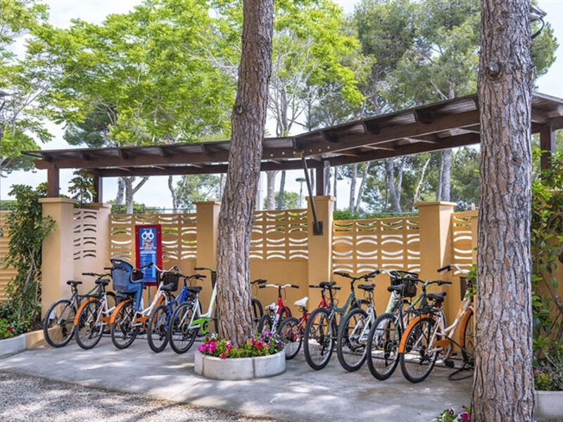 Playa Park