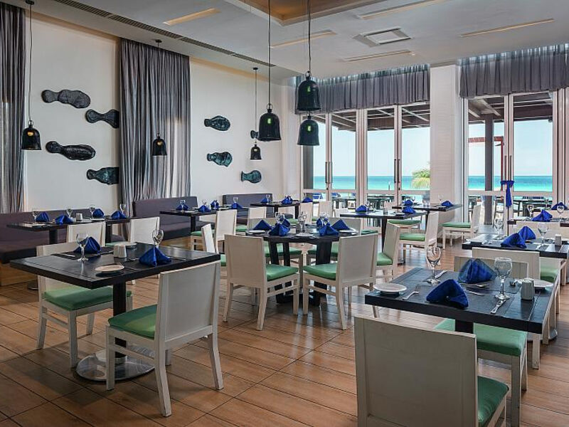 Ocean Vista Azul