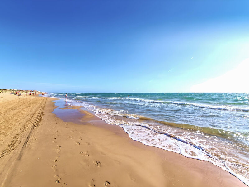 Playas de Guardamar