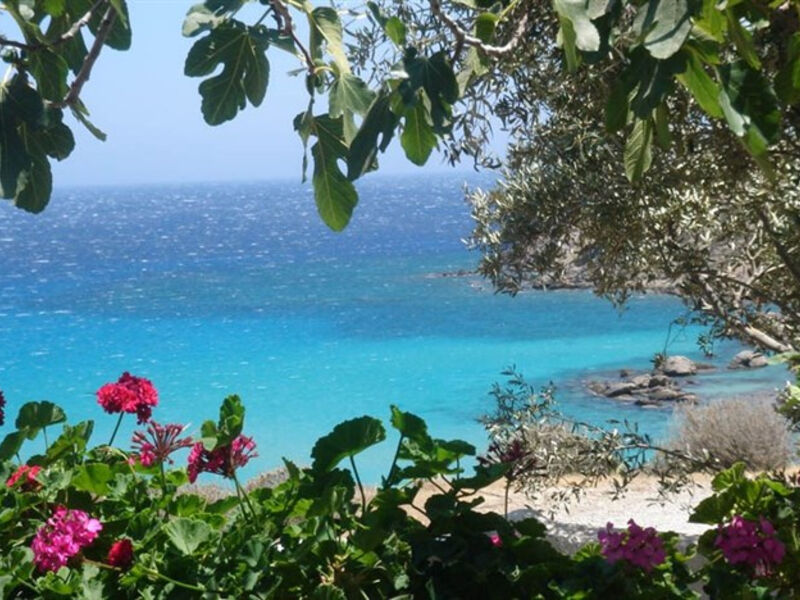 Poseidon Beach