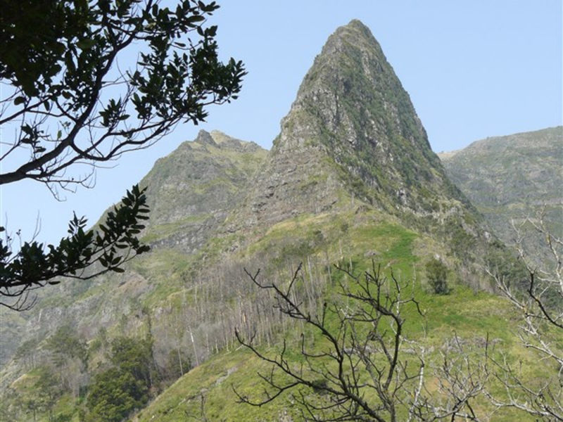 Pousada Vinhaticos