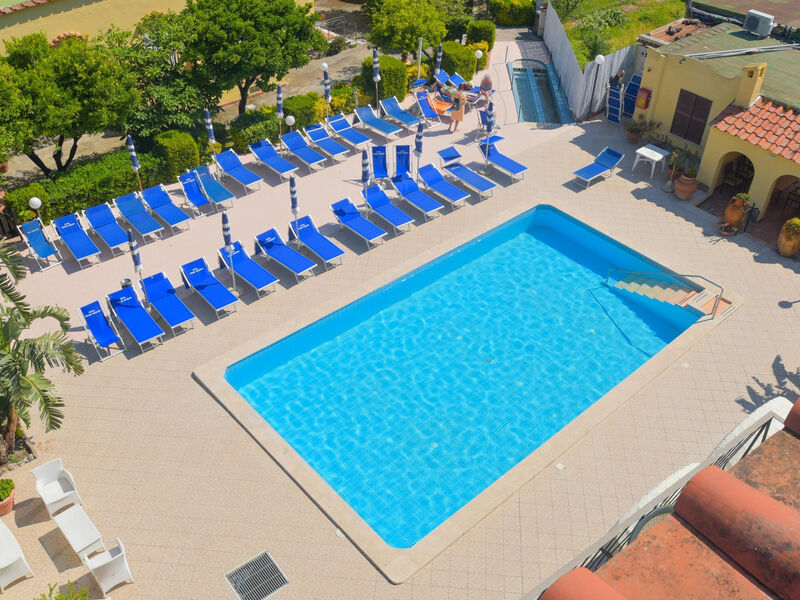 Terme Principe