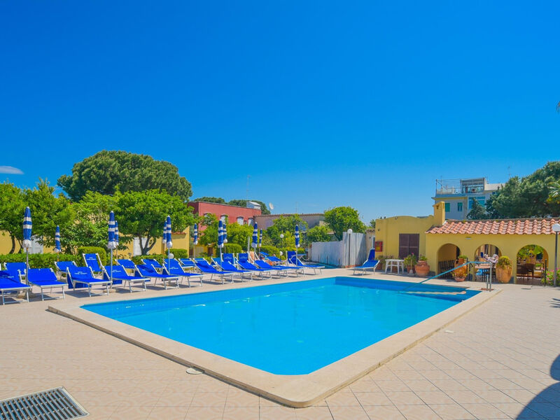 Terme Principe