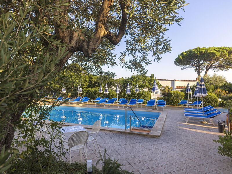 Terme Principe
