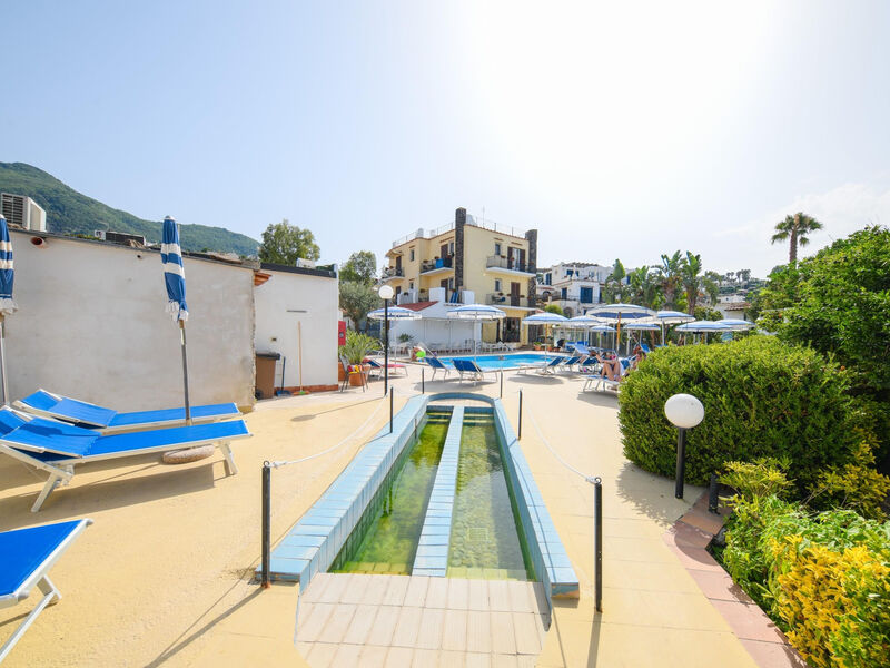 Terme Principe