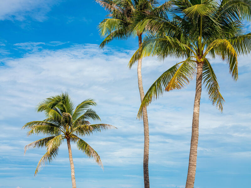 Pullman Phu Quoc Beach Resort