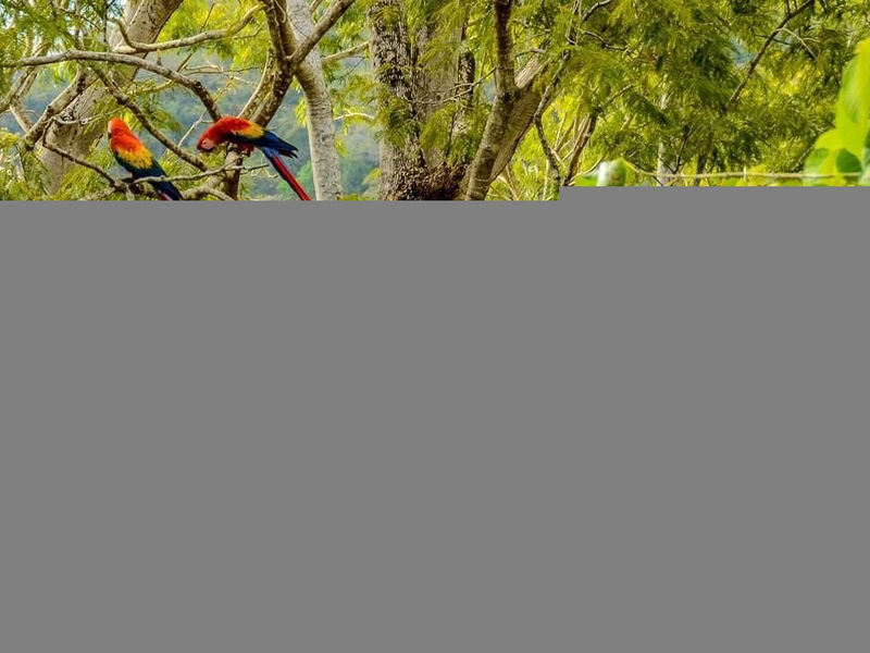 Punta Islita, Autograph Collection