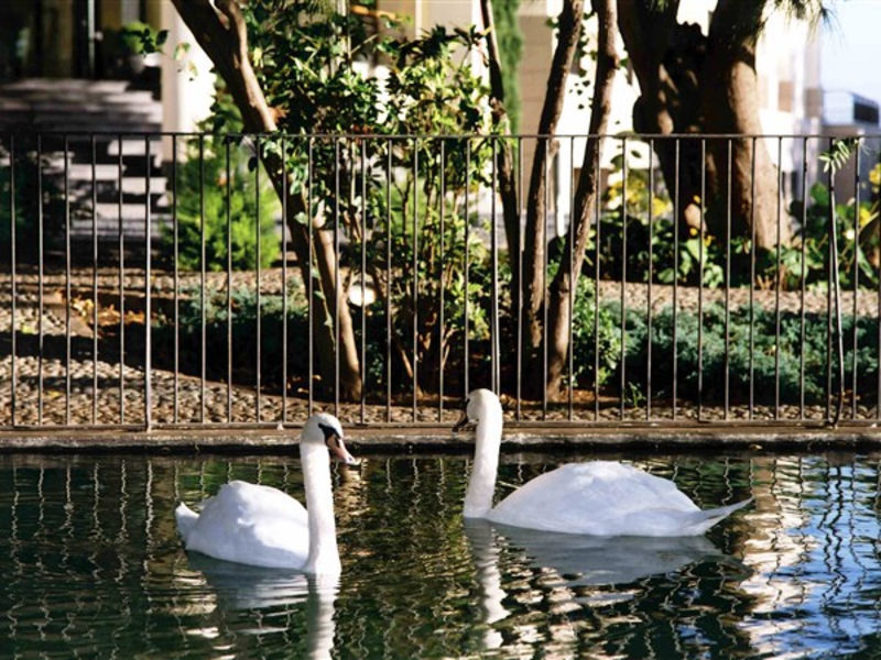 Quinta Das Vistas