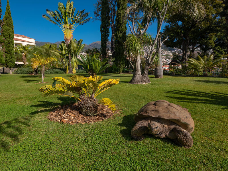 Quinta Jardins Do Lago