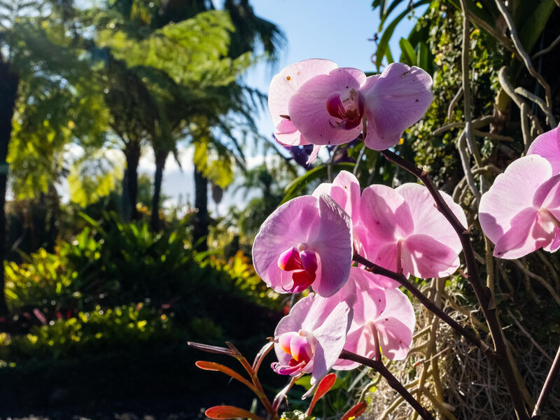 Quinta Jardins Do Lago
