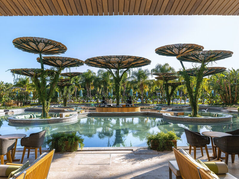 Regnum Carya