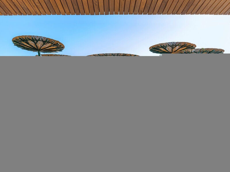 Regnum Carya