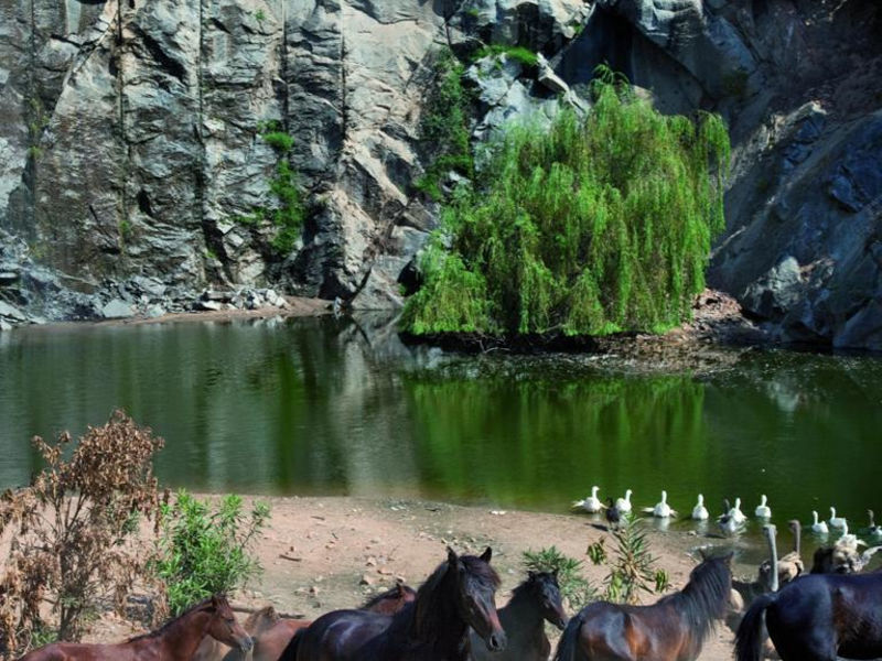 Resort Telis