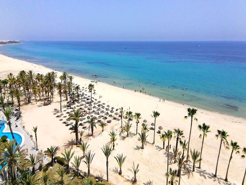 Riadh Palms