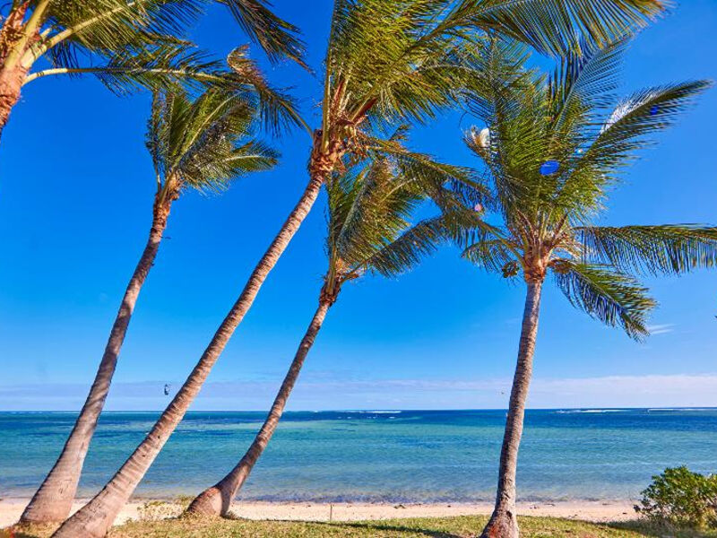 Riu Turquoise