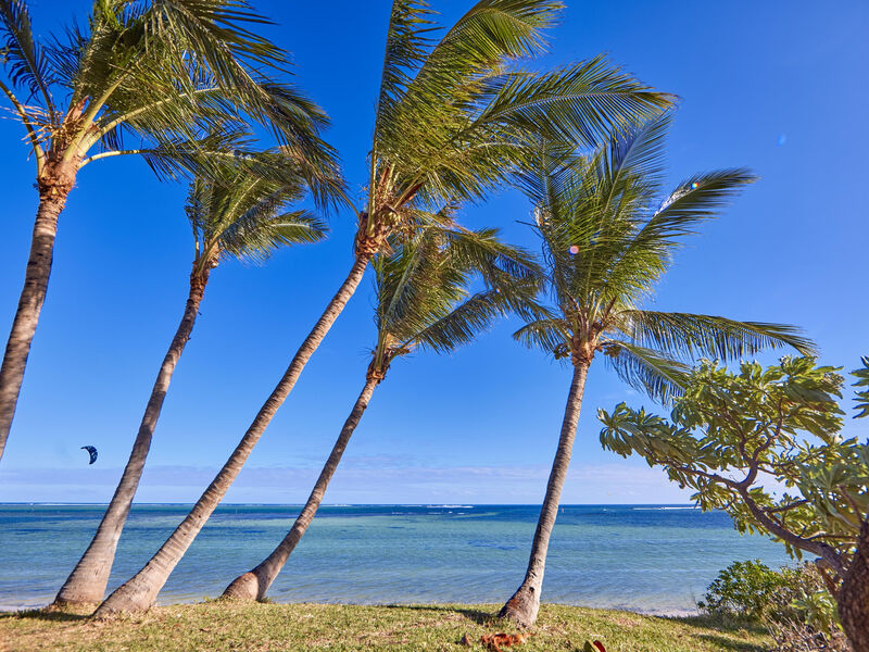 Riu Turquoise