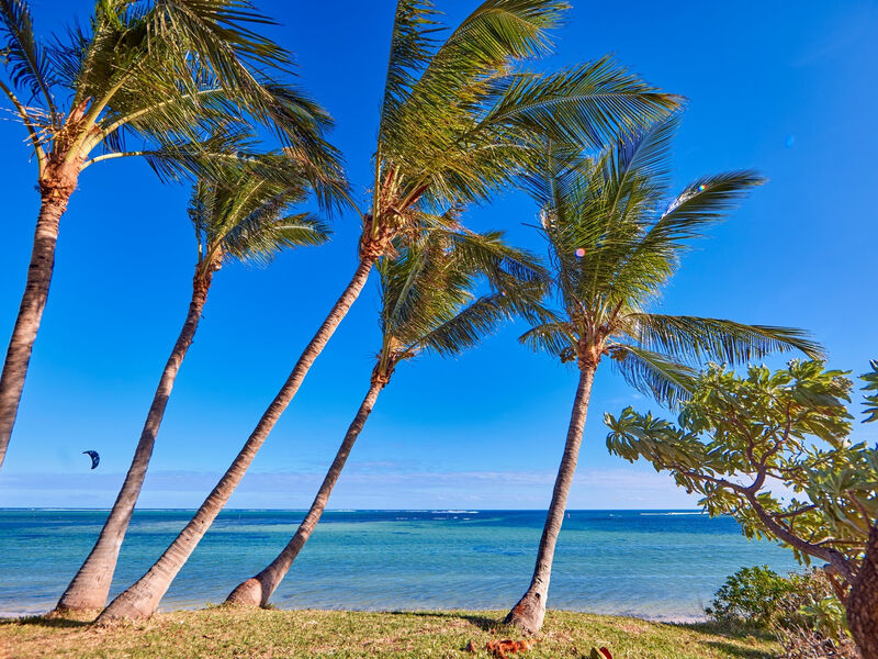 Riu Turquoise