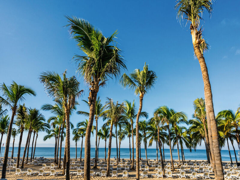 Riu Vallarta