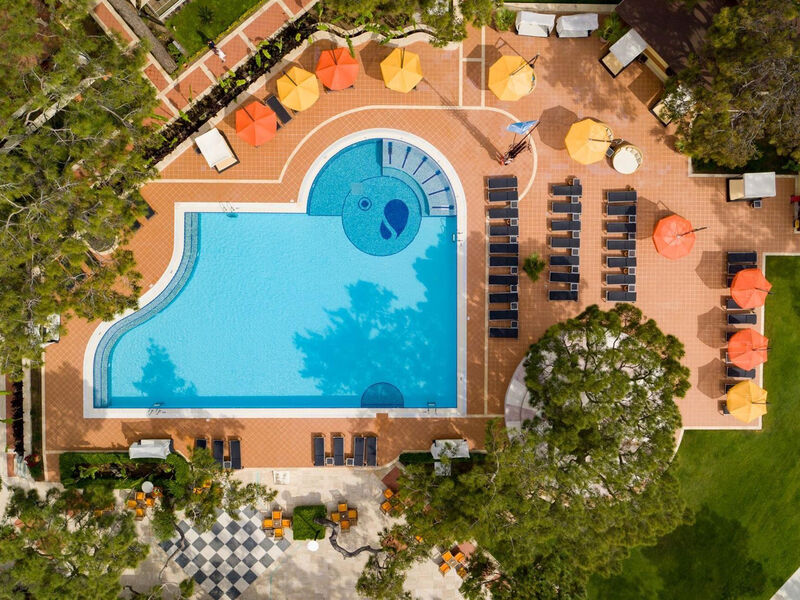 Robinson Camyuva (Adult Only+18)