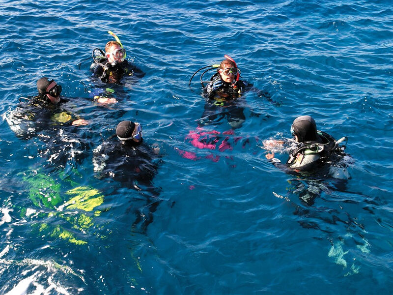 Roca Mar
