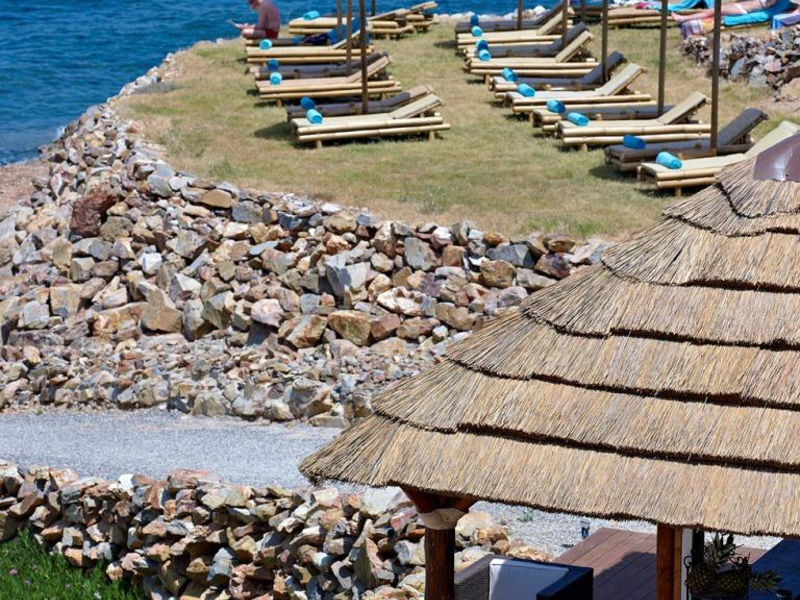 The Royal Blue Resort