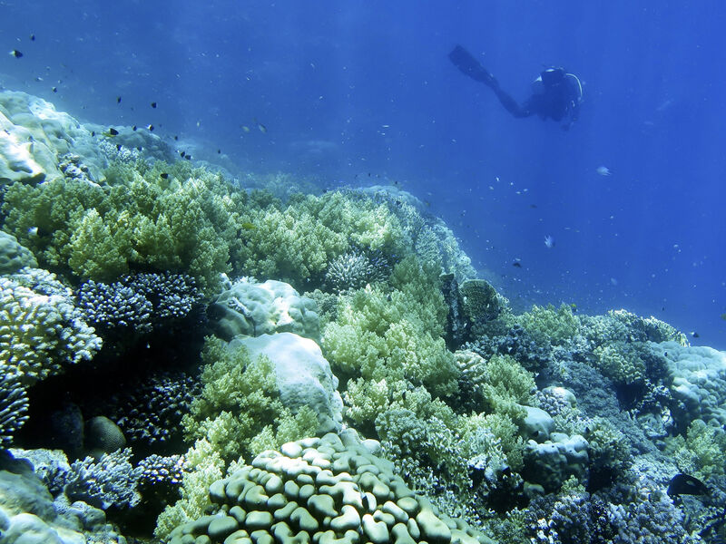 Royal Brayka Beach Resort