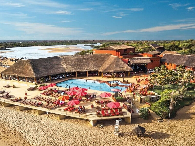 Royal Horizons Baobab