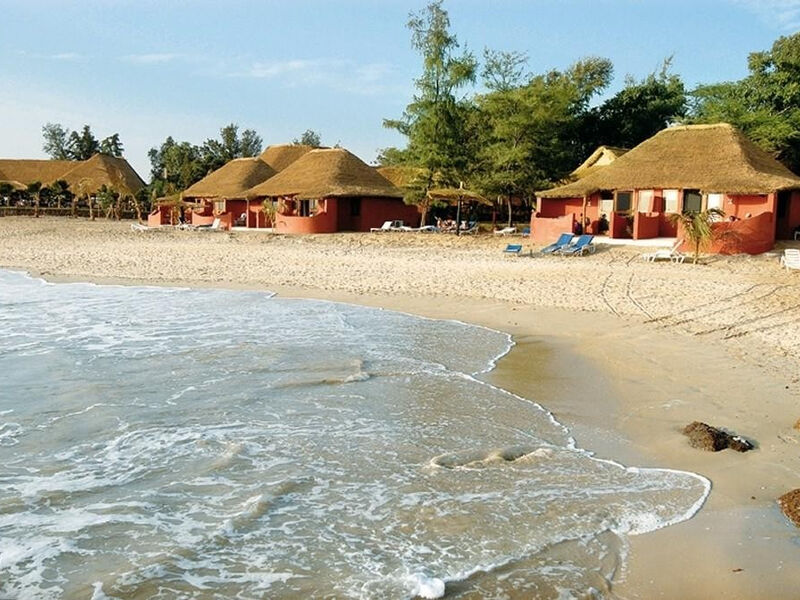 Royal Horizons Baobab