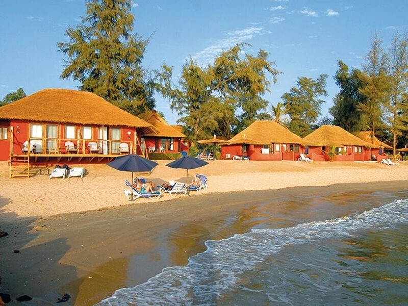 Royal Horizons Baobab