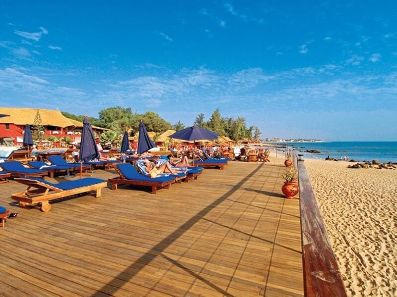 Royal Horizons Baobab