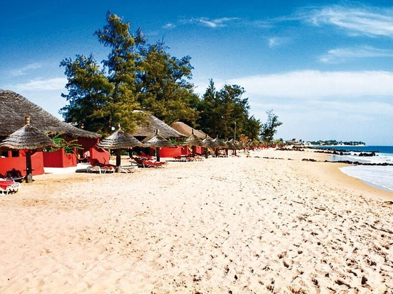 Royal Horizons Baobab