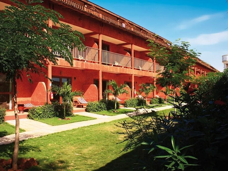 Royal Horizons Baobab