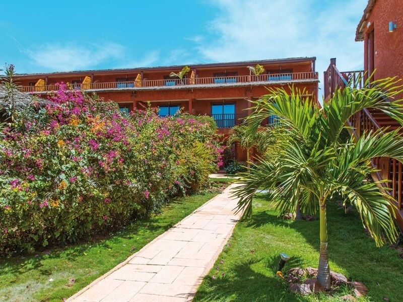 Royal Horizons Baobab