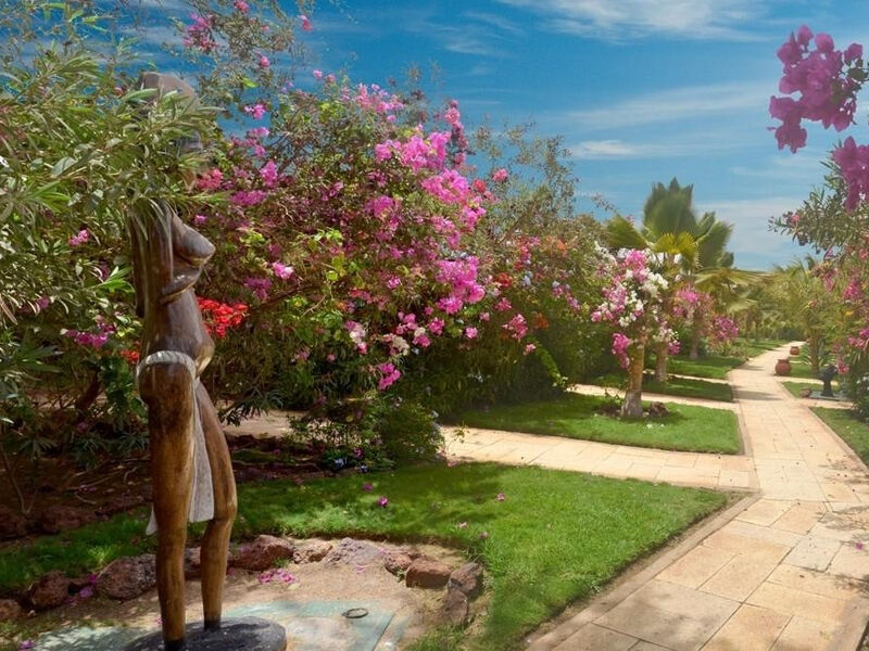 Royal Horizons Baobab