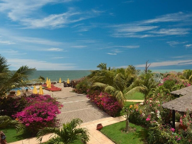 Royal Horizons Baobab