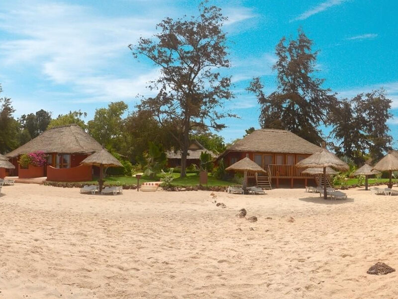 Royal Horizons Baobab
