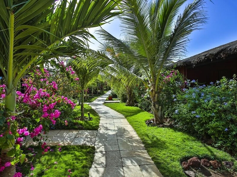 Royal Horizons Baobab
