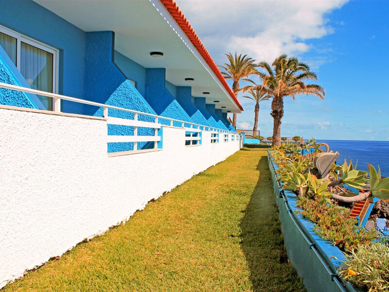Royal Orchid/Rocamar
