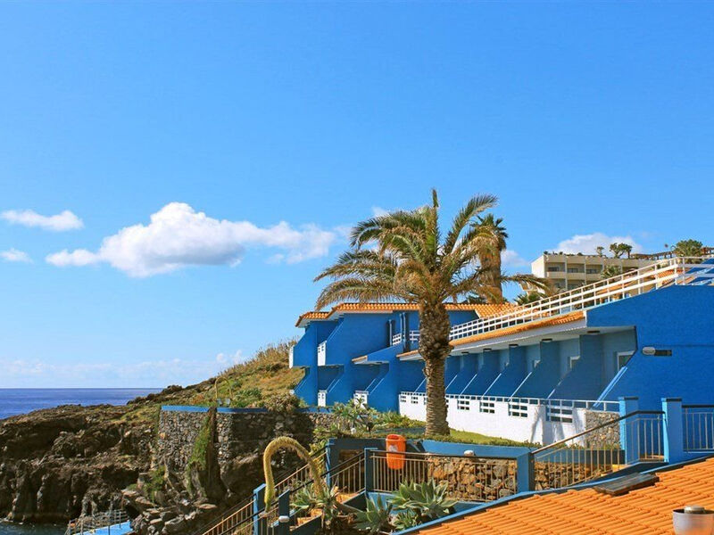 Royal Orchid/Rocamar