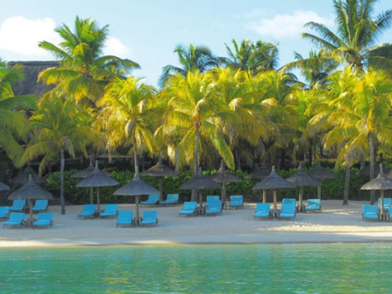 Royal Palm